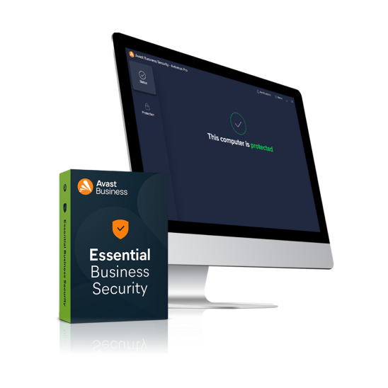 Essential Business Security